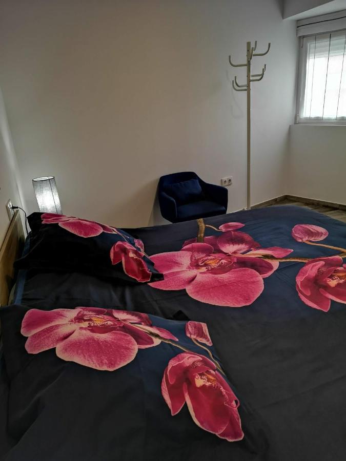 Apartamento Ibanez Benidorm Dış mekan fotoğraf